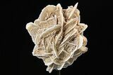 Selenite Desert Rose on Stand - Chihuahua, Mexico #264522-1